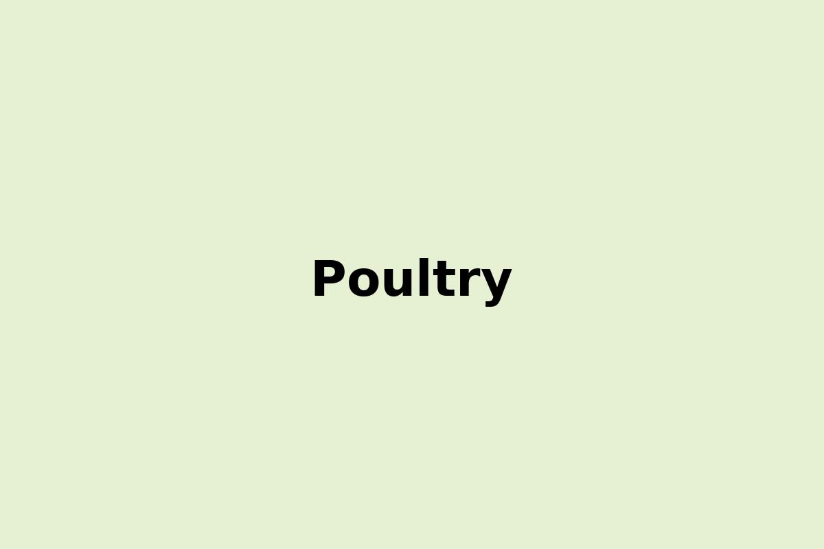 Poultry