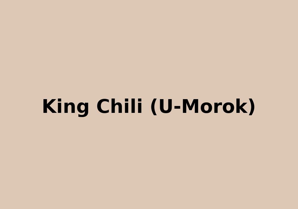 King Chili (U-Morok)